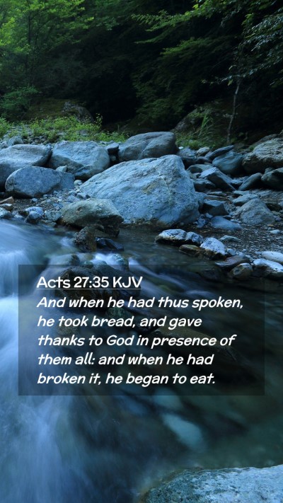 Picture 02 - Acts 27:35 KJV Mobile Phone Wallpaper - And when he had thus spoken, he took bread, and - Mobile Bible Verse Wallpaper