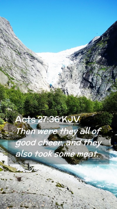 Picture 02 - Acts 27:36 KJV Mobile Phone Wallpaper - Then were they all of good cheer, and they also - Mobile Bible Verse Wallpaper