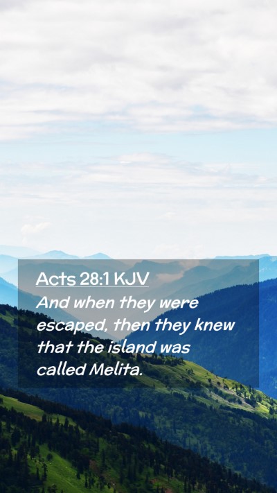 Picture 02 - Acts 28:1 KJV Mobile Phone Wallpaper - And when they were escaped, then they knew that - Mobile Bible Verse Wallpaper