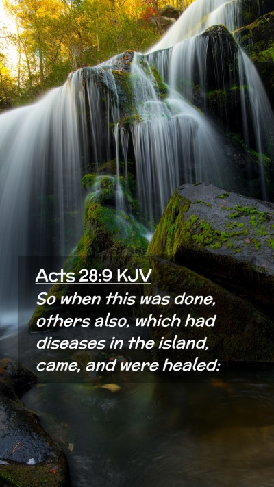 Picture 02 - Acts 28:9 KJV Mobile Phone Wallpaper - So when this was done, others also, which had - Mobile Bible Verse Wallpaper
