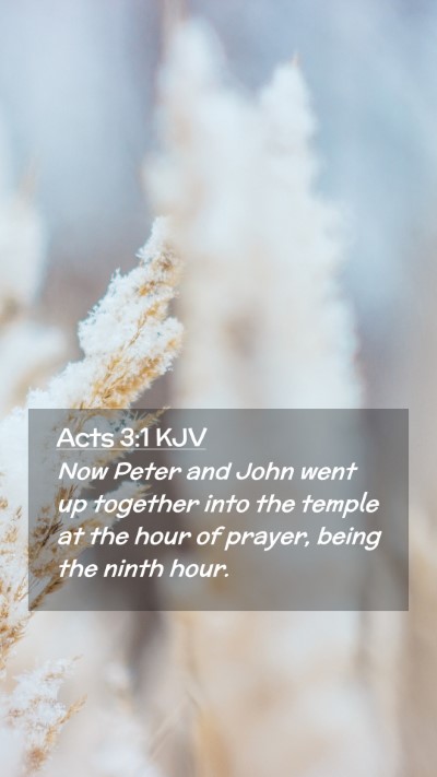 Picture 02 - Acts 3:1 KJV Mobile Phone Wallpaper - Now Peter and John went up together into the - Mobile Bible Verse Wallpaper