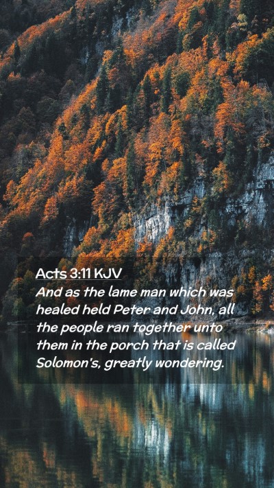 Picture 02 - Acts 3:11 KJV Mobile Phone Wallpaper - And as the lame man which was healed held Peter - Mobile Bible Verse Wallpaper