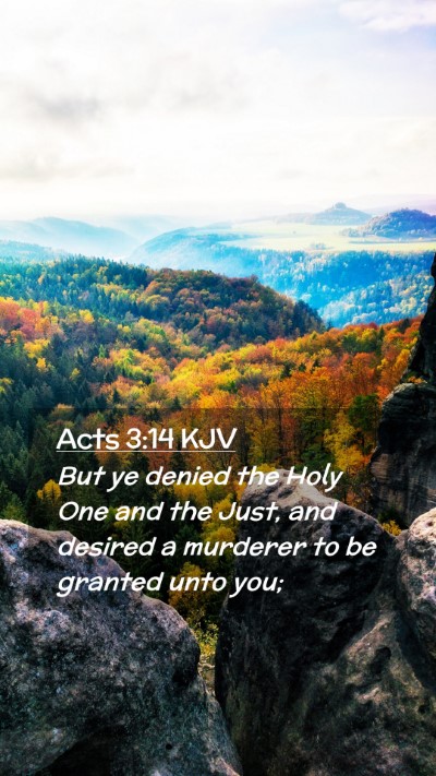 Picture 02 - Acts 3:14 KJV Mobile Phone Wallpaper - But ye denied the Holy One and the Just, and - Mobile Bible Verse Wallpaper