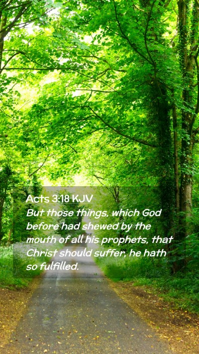 Picture 02 - Acts 3:18 KJV Mobile Phone Wallpaper - But those things, which God before had shewed by - Mobile Bible Verse Wallpaper