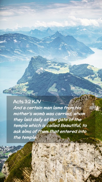 Picture 02 - Acts 3:2 KJV Mobile Phone Wallpaper - And a certain man lame from his mother's womb was - Mobile Bible Verse Wallpaper