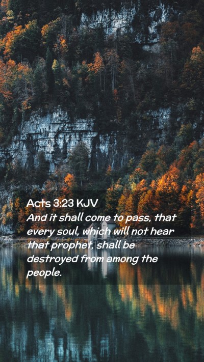 Picture 02 - Acts 3:23 KJV Mobile Phone Wallpaper - And it shall come to pass, that every soul, which - Mobile Bible Verse Wallpaper