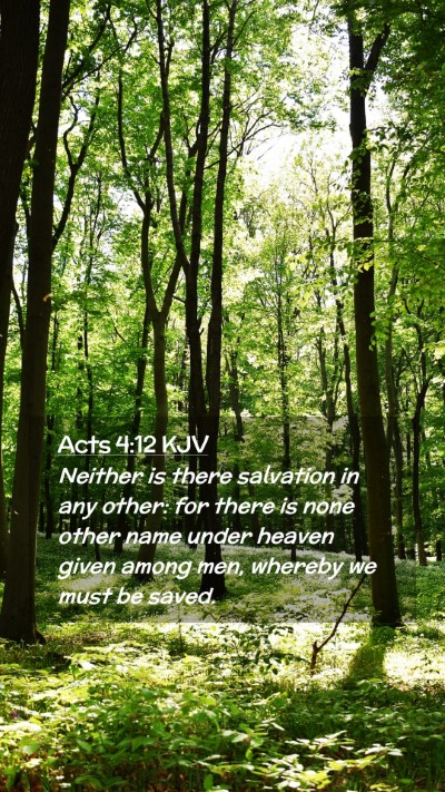 Picture 02 - Acts 4:12 KJV Mobile Phone Wallpaper - Neither is there salvation in any other: for - Mobile Bible Verse Wallpaper