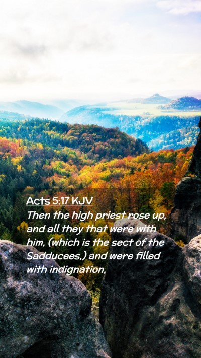 Picture 02 - Acts 5:17 KJV Mobile Phone Wallpaper - Then the high priest rose up, and all they that - Mobile Bible Verse Wallpaper