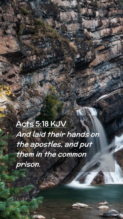 Picture 02 - Acts 5:18 KJV Mobile Phone Wallpaper - And laid their hands on the apostles, and put - Mobile Bible Verse Wallpaper