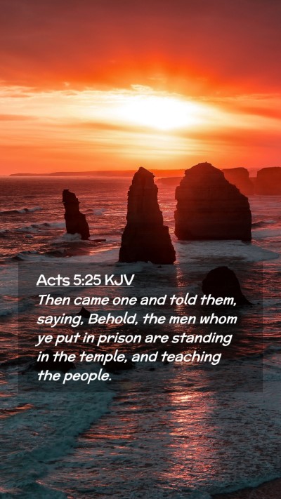 Picture 02 - Acts 5:25 KJV Mobile Phone Wallpaper - Then came one and told them, saying, Behold, the - Mobile Bible Verse Wallpaper