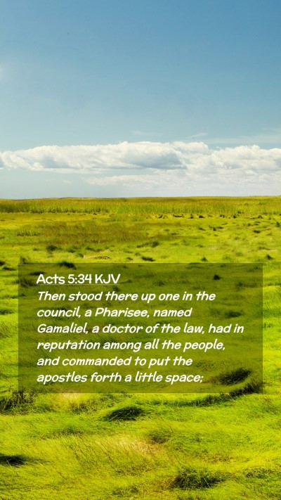 Picture 02 - Acts 5:34 KJV Mobile Phone Wallpaper - Then stood there up one in the council, a - Mobile Bible Verse Wallpaper