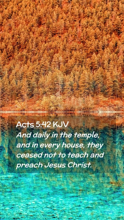 Picture 02 - Acts 5:42 KJV Mobile Phone Wallpaper - And daily in the temple, and in every house, they - Mobile Bible Verse Wallpaper
