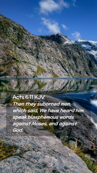 Picture 02 - Acts 6:11 KJV Mobile Phone Wallpaper - Then they suborned men, which said, We have heard - Mobile Bible Verse Wallpaper