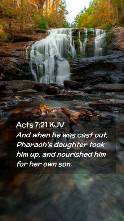 Picture 02 - Acts 7:21 KJV Mobile Phone Wallpaper - And when he was cast out, Pharaoh's daughter took - Mobile Bible Verse Wallpaper