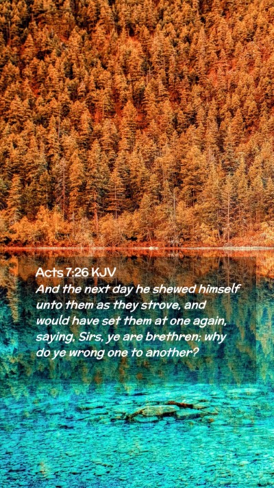 Picture 02 - Acts 7:26 KJV Mobile Phone Wallpaper - And the next day he shewed himself unto them as - Mobile Bible Verse Wallpaper