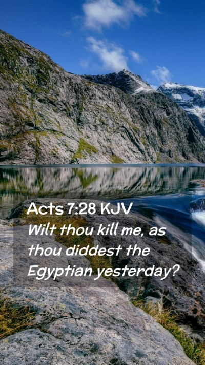 Picture 02 - Acts 7:28 KJV Mobile Phone Wallpaper - Wilt thou kill me, as thou diddest the Egyptian - Mobile Bible Verse Wallpaper