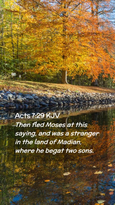 Picture 02 - Acts 7:29 KJV Mobile Phone Wallpaper - Then fled Moses at this saying, and was a - Mobile Bible Verse Wallpaper