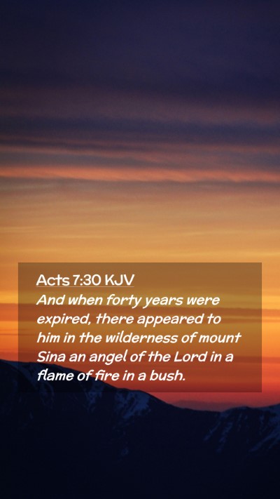 Picture 02 - Acts 7:30 KJV Mobile Phone Wallpaper - And when forty years were expired, there appeared - Mobile Bible Verse Wallpaper