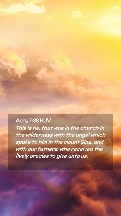 Picture 02 - Acts 7:38 KJV Mobile Phone Wallpaper - This is he, that was in the church in the - Mobile Bible Verse Wallpaper