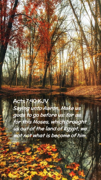 Picture 02 - Acts 7:40 KJV Mobile Phone Wallpaper - Saying unto Aaron, Make us gods to go before us: - Mobile Bible Verse Wallpaper