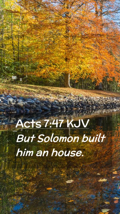 Picture 02 - Acts 7:47 KJV Mobile Phone Wallpaper - But Solomon built him an - Mobile Bible Verse Wallpaper