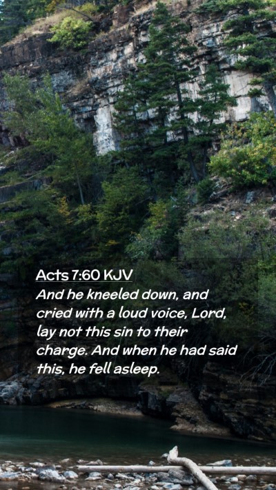 Picture 02 - Acts 7:60 KJV Mobile Phone Wallpaper - And he kneeled down, and cried with a loud voice, - Mobile Bible Verse Wallpaper