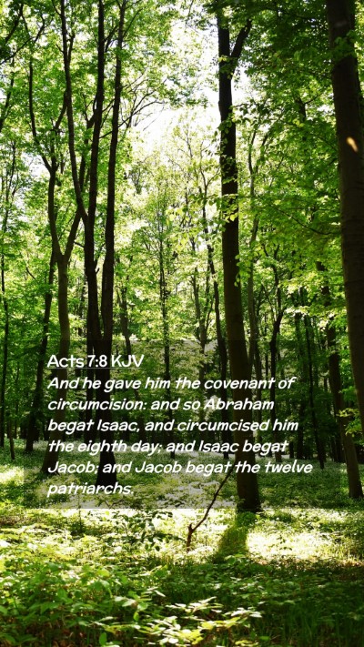 Picture 02 - Acts 7:8 KJV Mobile Phone Wallpaper - And he gave him the covenant of circumcision: and - Mobile Bible Verse Wallpaper