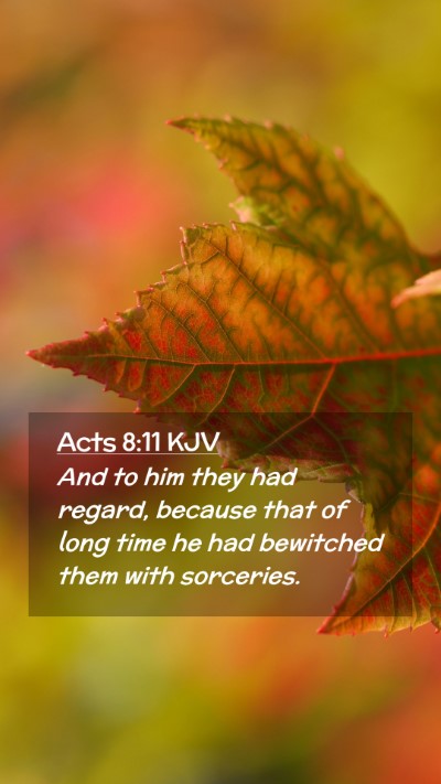 Picture 02 - Acts 8:11 KJV Mobile Phone Wallpaper - And to him they had regard, because that of long - Mobile Bible Verse Wallpaper