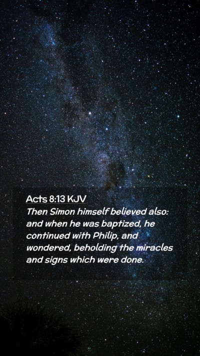 Picture 02 - Acts 8:13 KJV Mobile Phone Wallpaper - Then Simon himself believed also: and when he was - Mobile Bible Verse Wallpaper