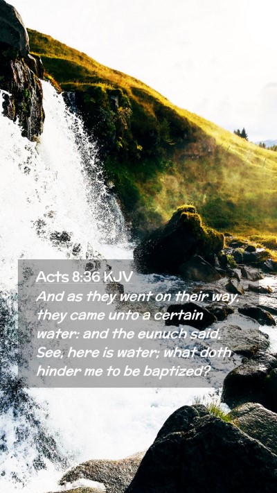 Picture 02 - Acts 8:36 KJV Mobile Phone Wallpaper - And as they went on their way, they came unto a - Mobile Bible Verse Wallpaper