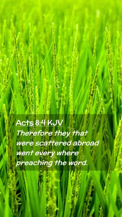 Picture 02 - Acts 8:4 KJV Mobile Phone Wallpaper - Therefore they that were scattered abroad went - Mobile Bible Verse Wallpaper