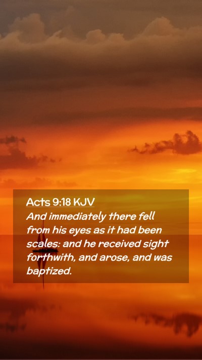 Picture 02 - Acts 9:18 KJV Mobile Phone Wallpaper - And immediately there fell from his eyes as it - Mobile Bible Verse Wallpaper