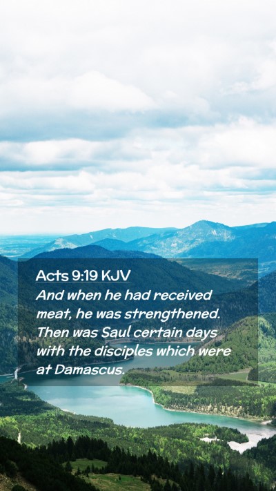 Picture 02 - Acts 9:19 KJV Mobile Phone Wallpaper - And when he had received meat, he was - Mobile Bible Verse Wallpaper