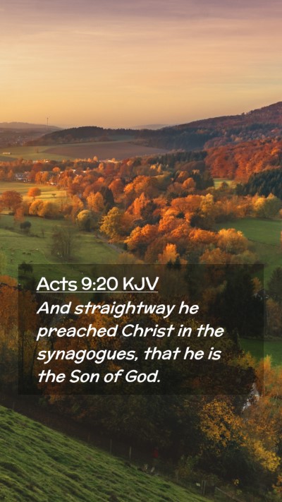 Picture 02 - Acts 9:20 KJV Mobile Phone Wallpaper - And straightway he preached Christ in the - Mobile Bible Verse Wallpaper