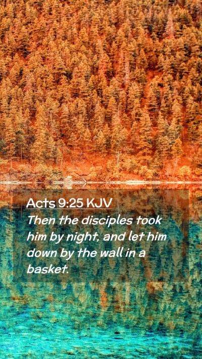 Picture 02 - Acts 9:25 KJV Mobile Phone Wallpaper - Then the disciples took him by night, and let him - Mobile Bible Verse Wallpaper