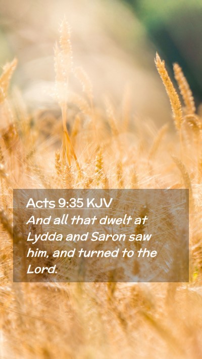 Picture 02 - Acts 9:35 KJV Mobile Phone Wallpaper - And all that dwelt at Lydda and Saron saw him, - Mobile Bible Verse Wallpaper