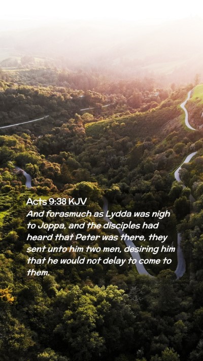 Picture 02 - Acts 9:38 KJV Mobile Phone Wallpaper - And forasmuch as Lydda was nigh to Joppa, and the - Mobile Bible Verse Wallpaper