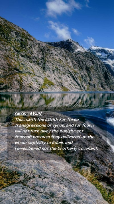 Picture 02 - Amos 1:9 KJV Mobile Phone Wallpaper - Thus saith the LORD; For three transgressions of - Mobile Bible Verse Wallpaper