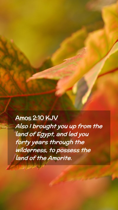 Picture 02 - Amos 2:10 KJV Mobile Phone Wallpaper - Also I brought you up from the land of Egypt, and - Mobile Bible Verse Wallpaper