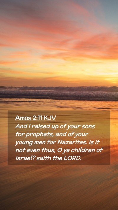 Picture 02 - Amos 2:11 KJV Mobile Phone Wallpaper - And I raised up of your sons for prophets, and of - Mobile Bible Verse Wallpaper