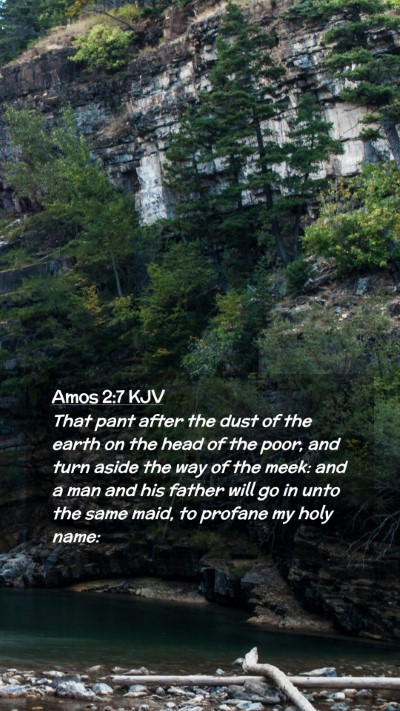 Picture 02 - Amos 2:7 KJV Mobile Phone Wallpaper - That pant after the dust of the earth on the head - Mobile Bible Verse Wallpaper