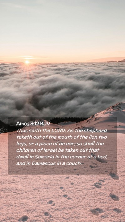 Picture 02 - Amos 3:12 KJV Mobile Phone Wallpaper - Thus saith the LORD; As the shepherd taketh out - Mobile Bible Verse Wallpaper