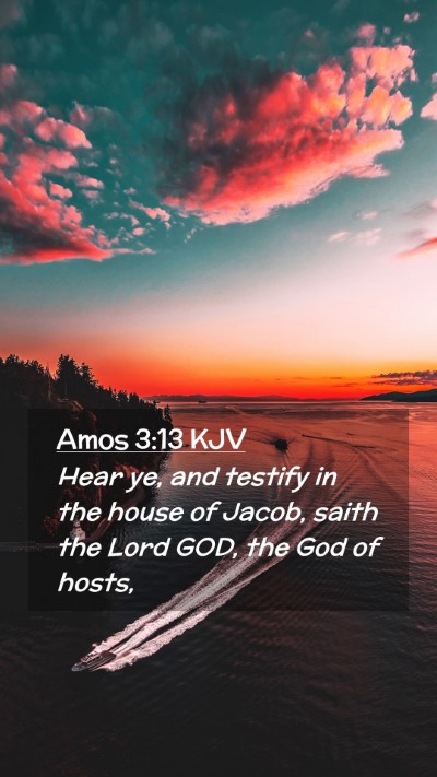 Picture 02 - Amos 3:13 KJV Mobile Phone Wallpaper - Hear ye, and testify in the house of Jacob, saith - Mobile Bible Verse Wallpaper