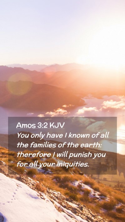 Picture 02 - Amos 3:2 KJV Mobile Phone Wallpaper - You only have I known of all the families of the - Mobile Bible Verse Wallpaper