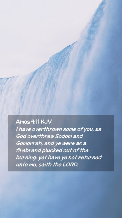 Picture 02 - Amos 4:11 KJV Mobile Phone Wallpaper - I have overthrown some of you, as God overthrew - Mobile Bible Verse Wallpaper
