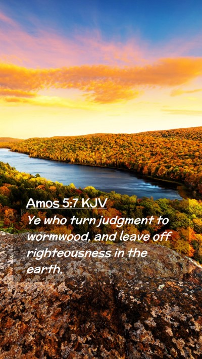 Picture 02 - Amos 5:7 KJV Mobile Phone Wallpaper - Ye who turn judgment to wormwood, and leave off - Mobile Bible Verse Wallpaper