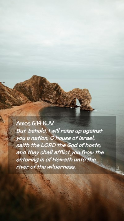Picture 02 - Amos 6:14 KJV Mobile Phone Wallpaper - But, behold, I will raise up against you a - Mobile Bible Verse Wallpaper