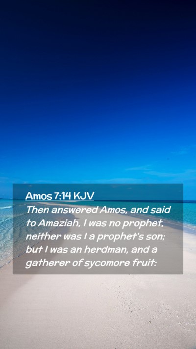 Picture 02 - Amos 7:14 KJV Mobile Phone Wallpaper - Then answered Amos, and said to Amaziah, I was no - Mobile Bible Verse Wallpaper