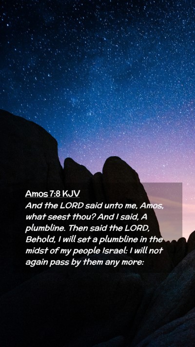Picture 02 - Amos 7:8 KJV Mobile Phone Wallpaper - And the LORD said unto me, Amos, what seest thou? - Mobile Bible Verse Wallpaper