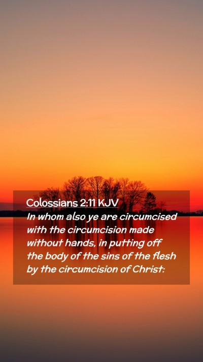 Picture 02 - Colossians 2:11 KJV Mobile Phone Wallpaper - In whom also ye are circumcised with the - Mobile Bible Verse Wallpaper